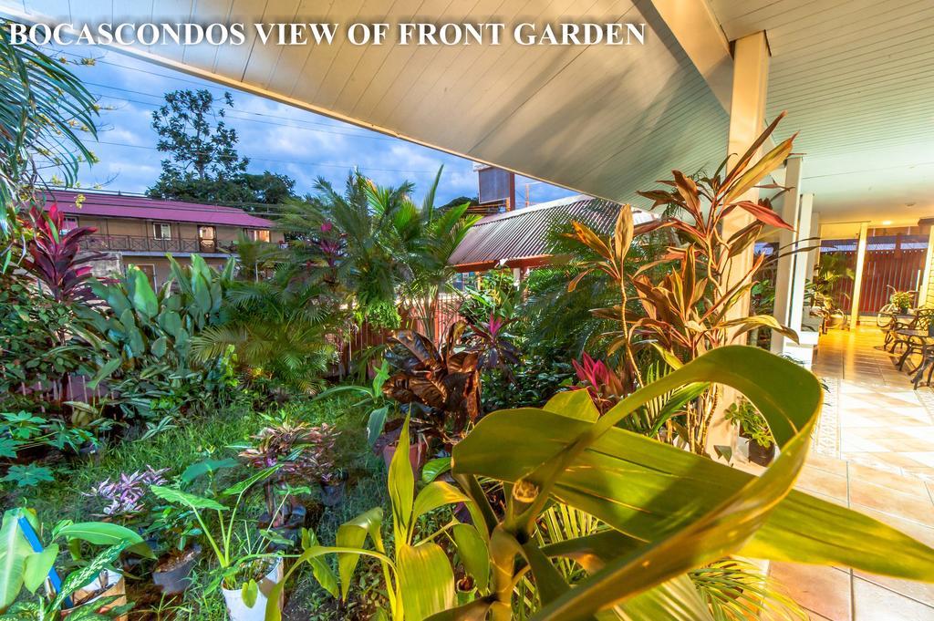 Aqua Point Condos Rentals Bocas del Toro Exterior photo