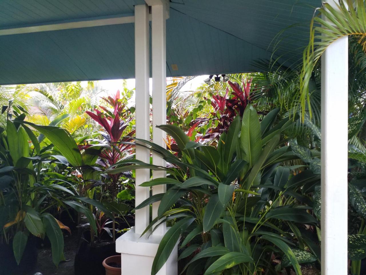 Aqua Point Condos Rentals Bocas del Toro Exterior photo